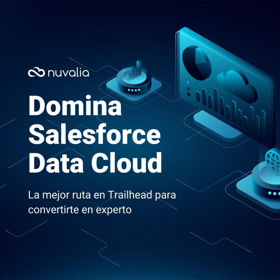 Salesforce Data Cloud